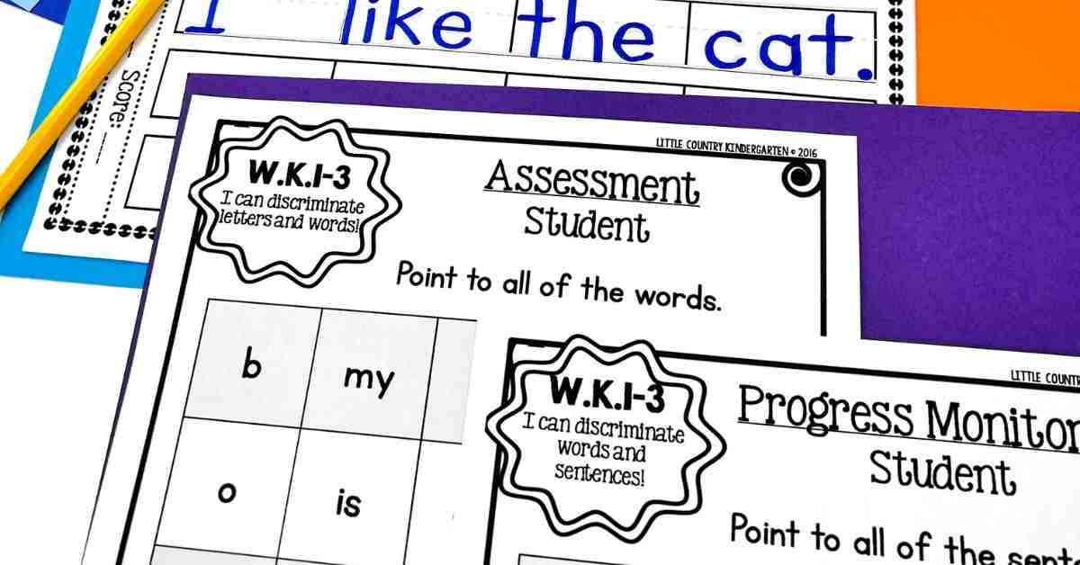 Writing progress monitoring activities including a word sort and write sheet, a letters and words assessments, and a words and sentences assessment.