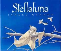 This is the cover of Stellaluna which is book three of the best read alouds for kindergarten in October. It shows a bat hanging on a tree limb with birds flying in the background.