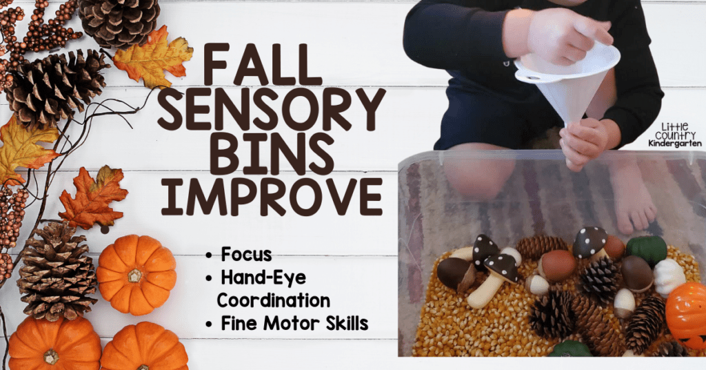 Fall sensory bins improve focus, hand-eye coordination, and fine motor skills. Toddler boy watching popcorn kernels go through a funnel into a sensory bin.