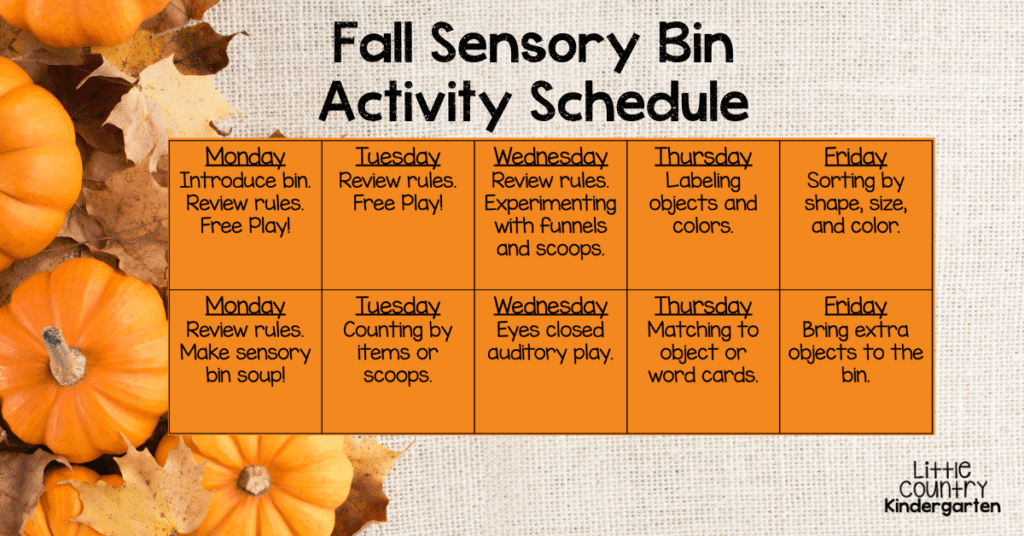 Fall sensory bin activity schedule for 10 days of play showing different activities on each day.