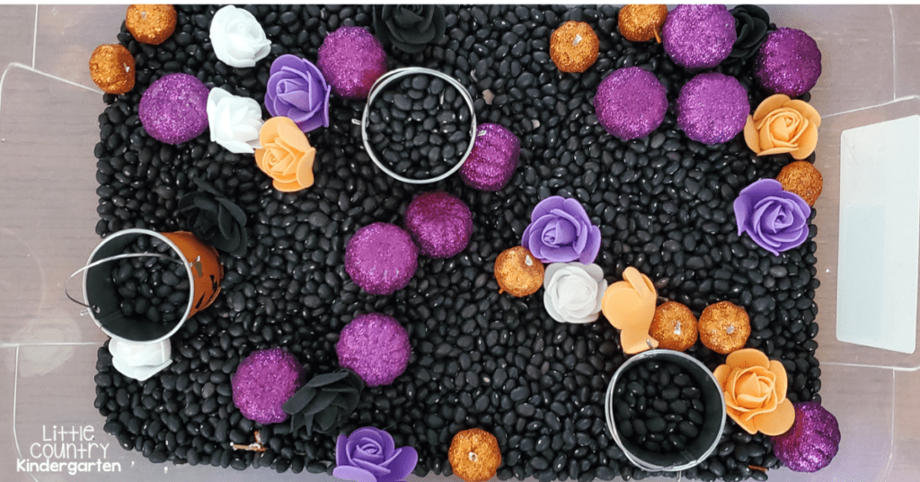 Halloween Sensory Bin with black beans, purple orange and white roses, purple and orange pumpkins, and pumpkin buckets to scoop beans